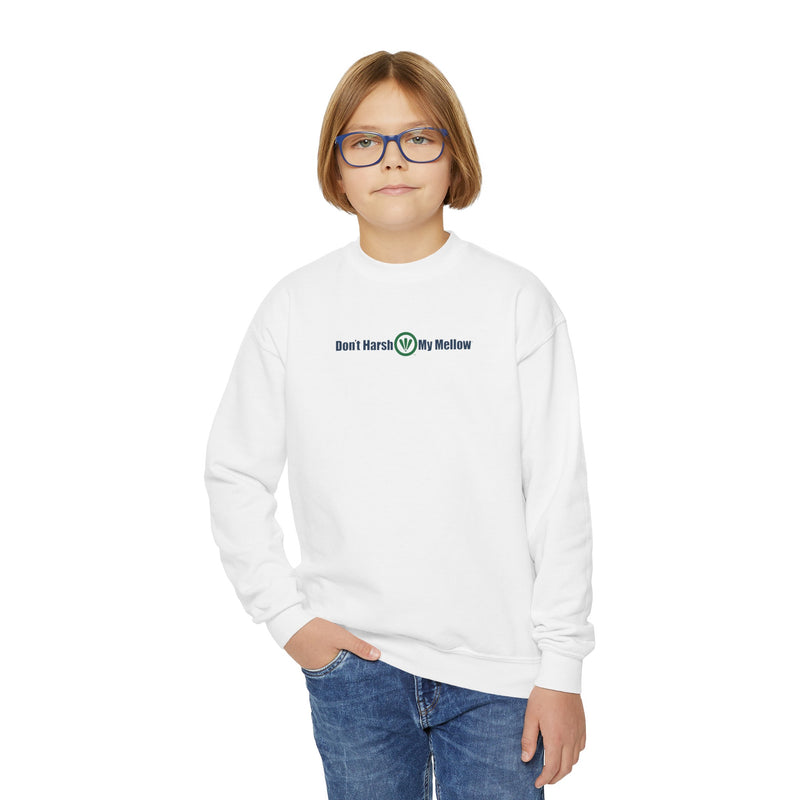 Sweatshirt mit Rundhalsausschnitt für Jungen