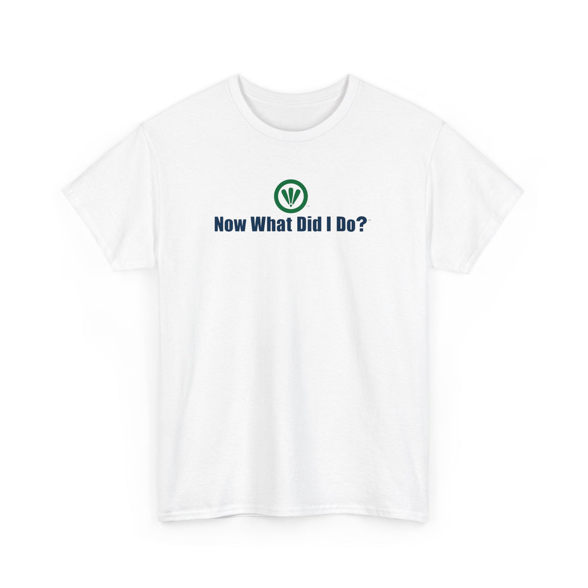 Now What Did I Do?™ Unisex Heavy Cotton Tee